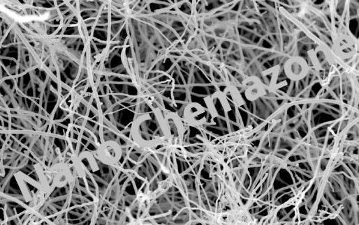 Carbon Nanofibers (CNFs)
