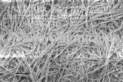 Iron oxide Nanowires